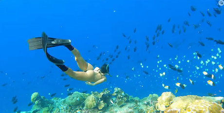 Victoria Ferreira model pornographic images