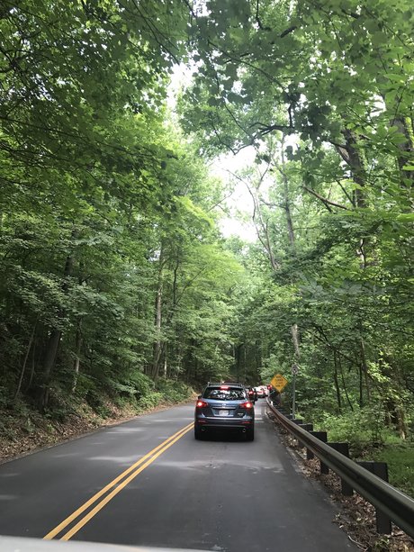 Fun fun nudes star pic