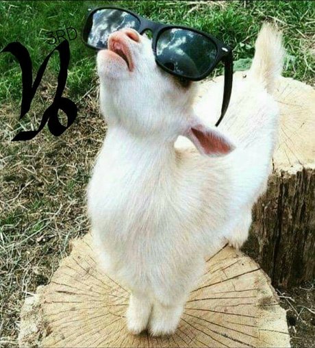 Itwontcookitsself pornstar adult pics