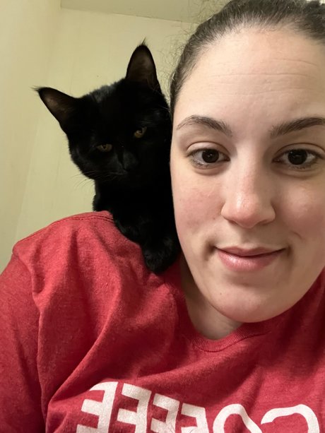 Country Mama Miltank model art archive