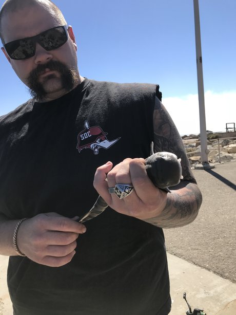 Ton of rough hd actress archive