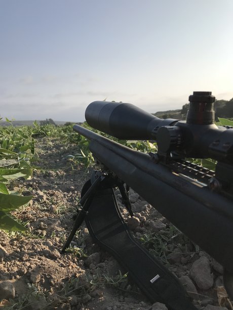 Ton of rough model sexy galleries