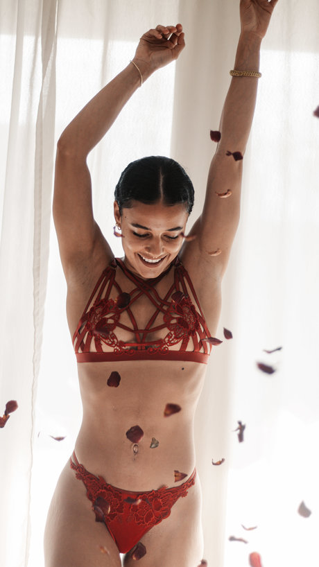 LovesApassionata free star img