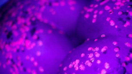 ihavapiness star sex pics