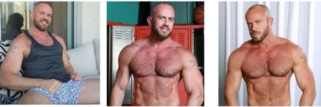 Matt Stevens top star images