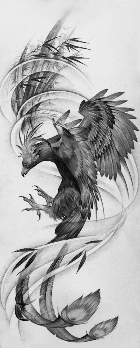 Charlie Agyva star nude archive