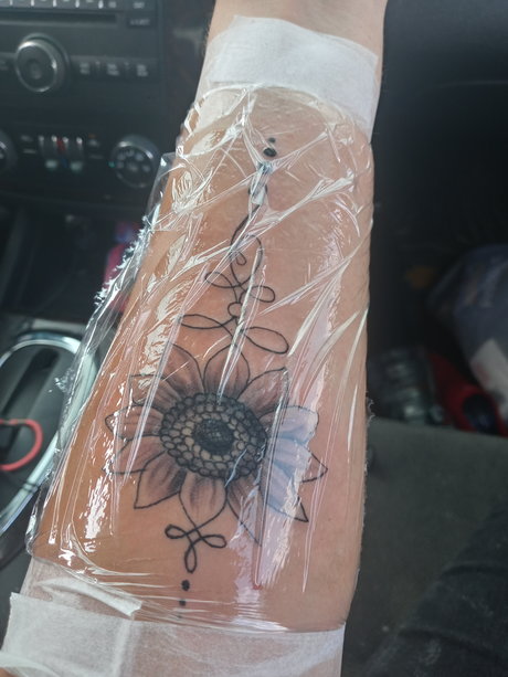 Bre Harrison porn actress picture