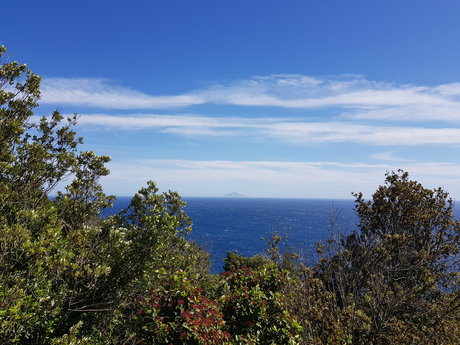 Mrmassi sex model archive