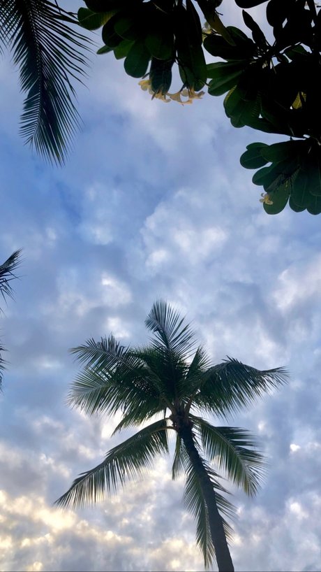 Kendall Kate nice model pictures