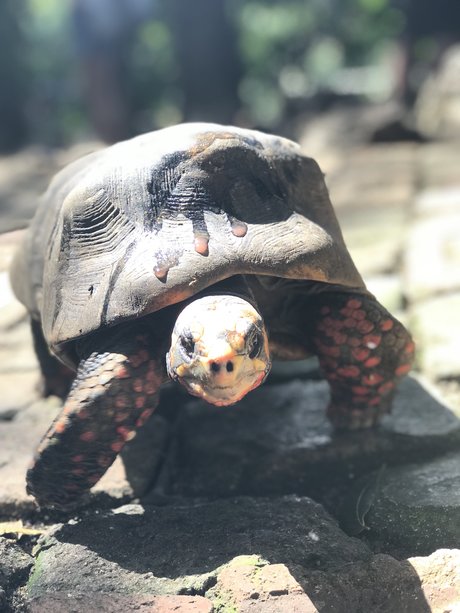 Jon Jinx sex model img