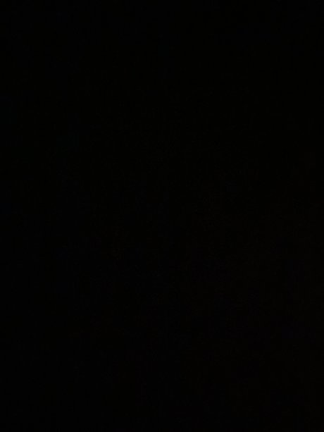 Mr Uncut perfect star gallery