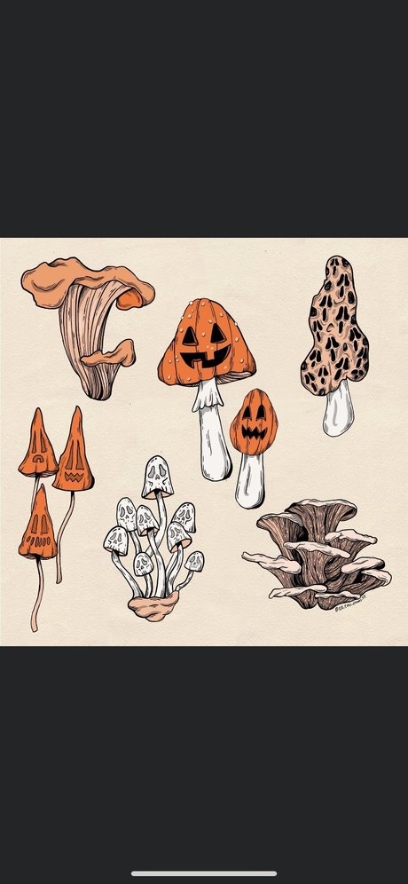 ZanaSossa xxx actress image