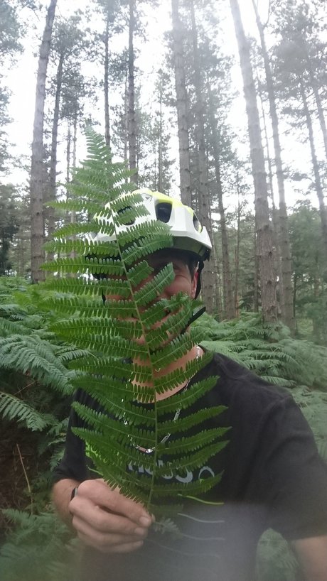 Daz for fun high quality actress pics