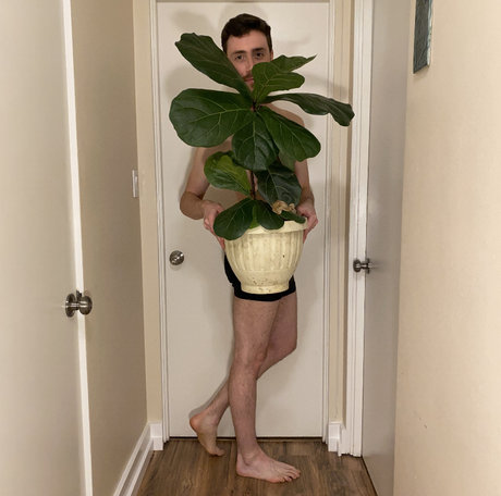 Fiig pretty pornstar pictures