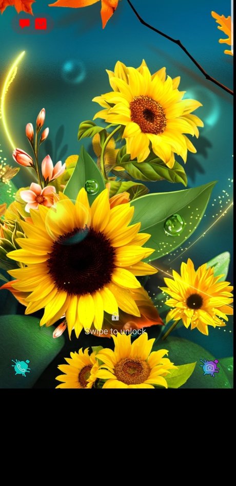 Queenmercy star exclusive gallery