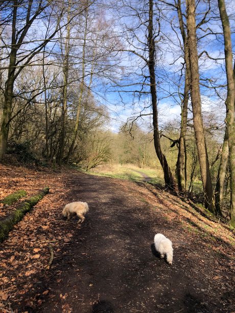 Sweet candy_ perfect pornstar pic