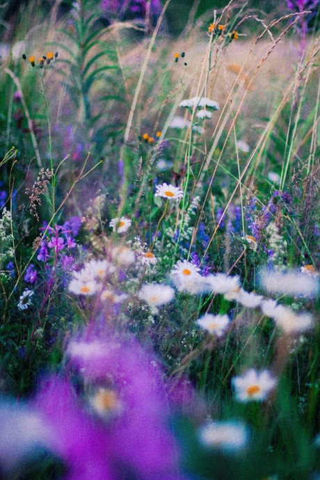 leslieevelynx3 pornstar adult galleries