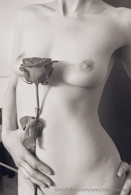 Firewingx top pornstar picture