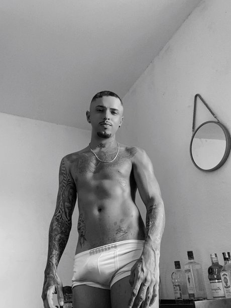 William Reis porn actress archive