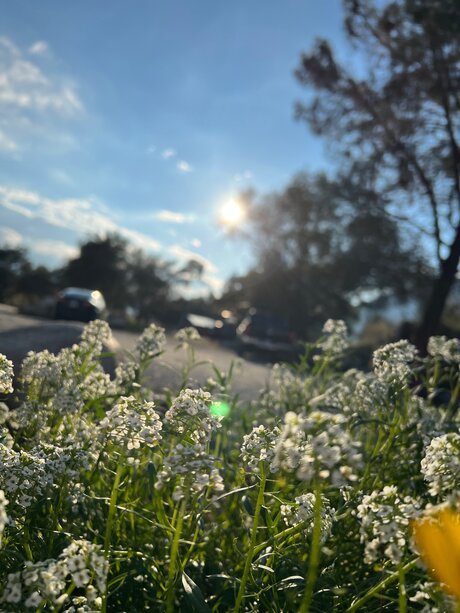 Marie C_ nude model archive