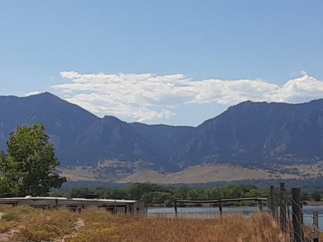 Austyn star exclusive gallery