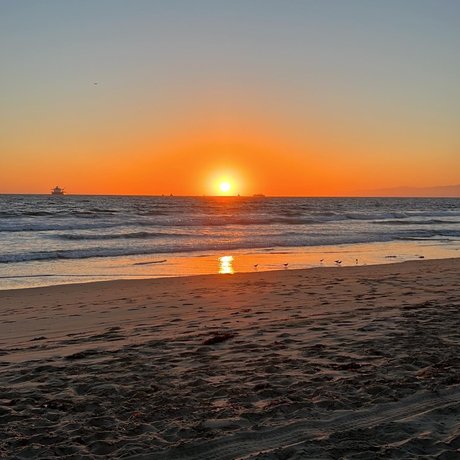 Tirzah Princess perfect star gallery