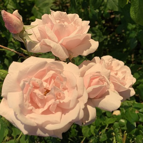 myuntitledlife_ model perfect picture