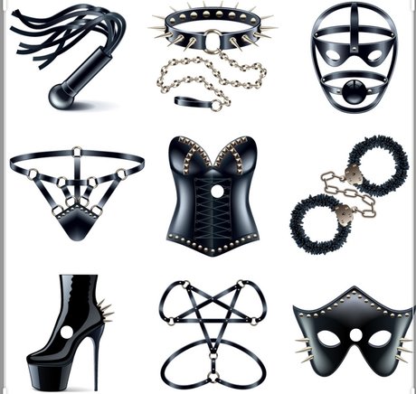 Rose Midnight perfect star photo