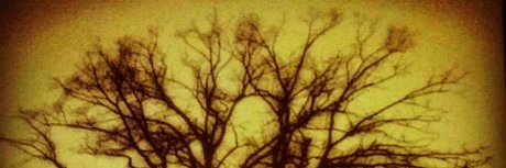 Jesse Prather high quality star pic