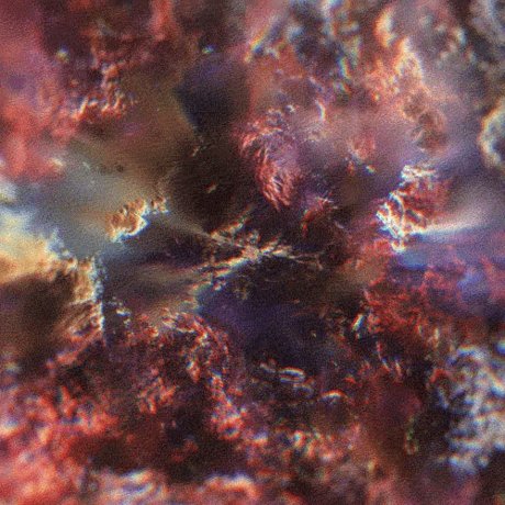 eartha klitt exclusive pornstar gallery