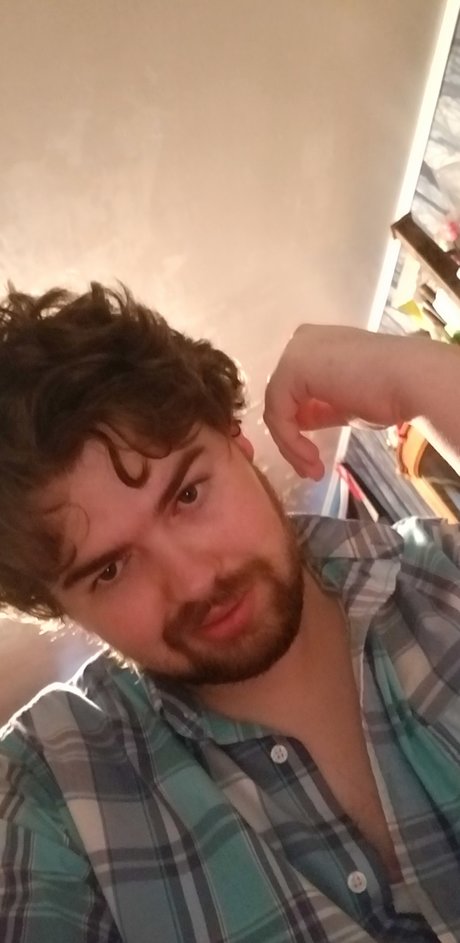 Zech art star pictures