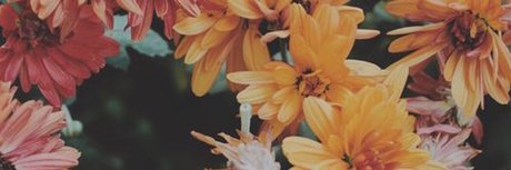 Abdul El Sahili_ perfect pornstar gallery