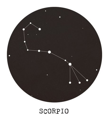 Marta Detmer pretty star image