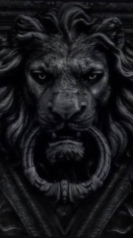 Lionel77 star sex pictures