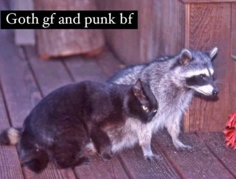 Tommy and Aynnnje FTW exclusive pornstar picture