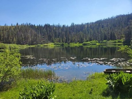 Brandi Benz exclusive star galleries