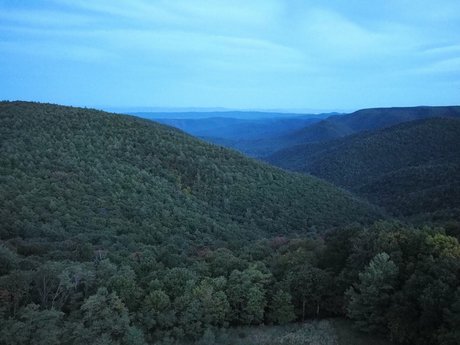 War nude star pictures