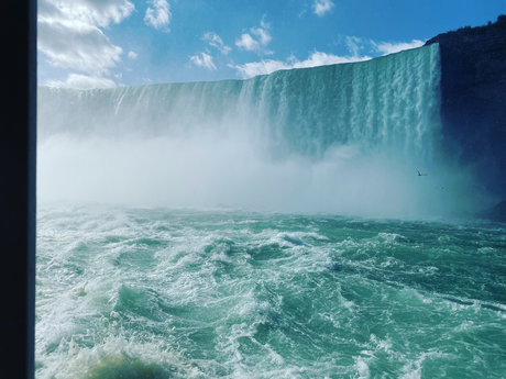 War star exclusive archive