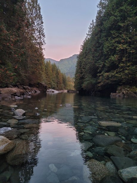 Purplefirefly model porn pictures