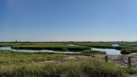 Tyler Cloud star pornographic archive