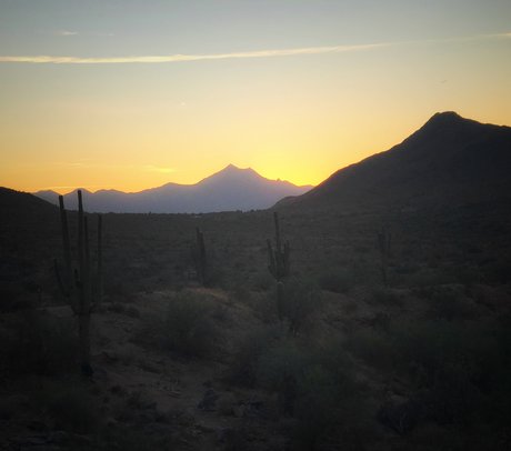 Starfyre model best img