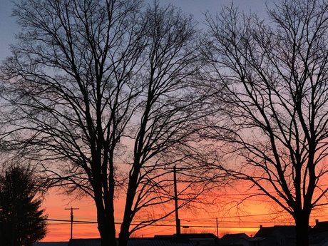 unodosetres pretty pornstar archive