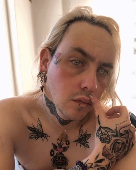 Wasp pornstar free picture