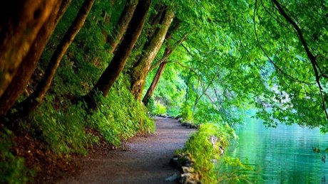 Xaea Zen pornstar art image