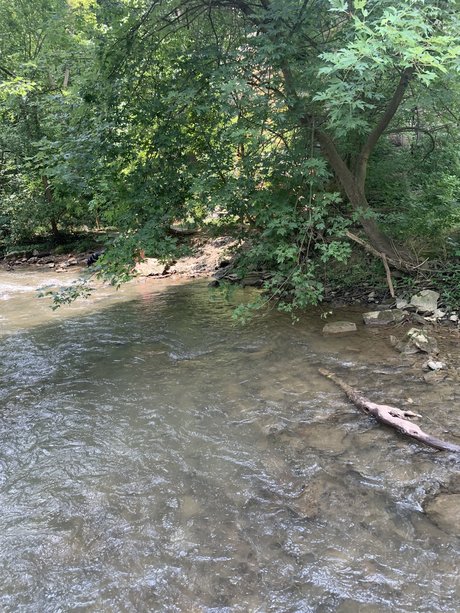 Twink3119 model sexy images