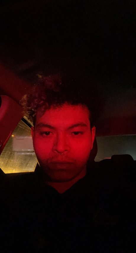 azul model free archive