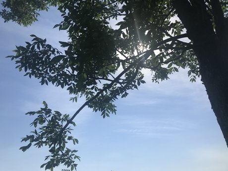 kevy pornstar perfect pictures