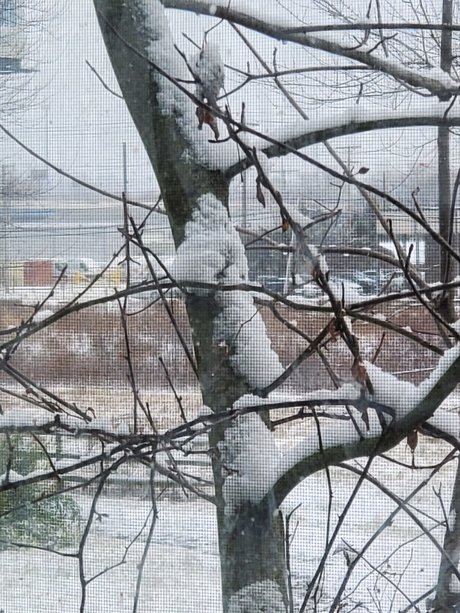 Norway perfect star img