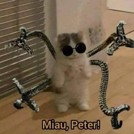 u63856170 model top archive