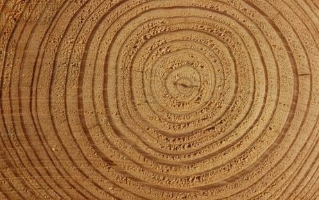 Beefstrokem off exclusive actress image